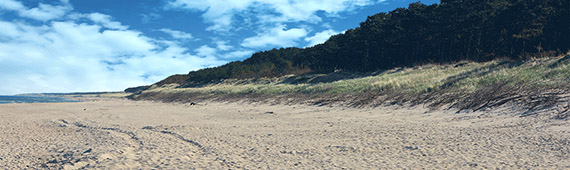 Darłowo