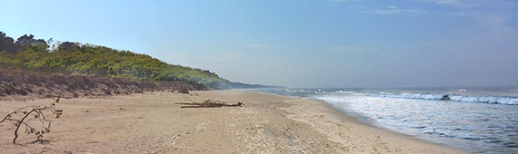 Karwia