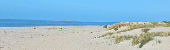 Mikoszewo