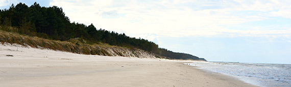 Trzebiatów