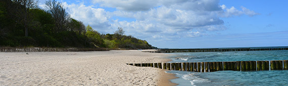 Sianożęty